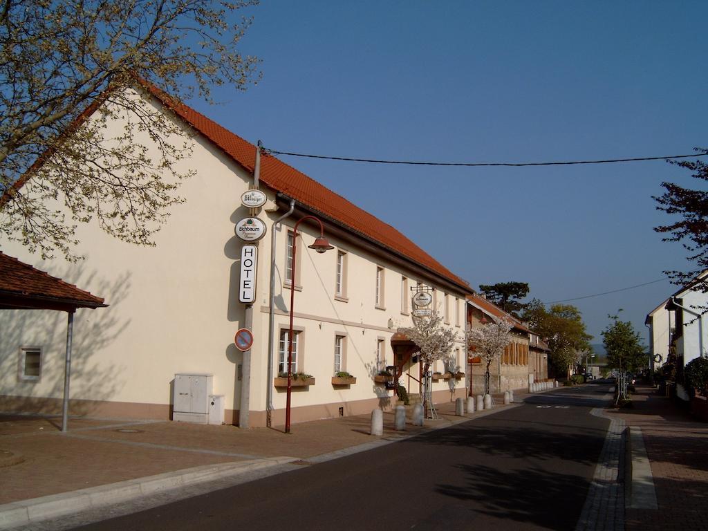 Garni Zum Adler Hotel Gensingen Exterior photo